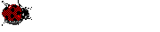 coci